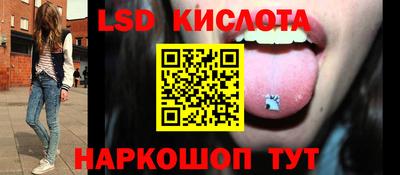 гидра Краснодар