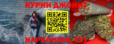 гидра Краснодар