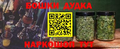гидра Краснодар